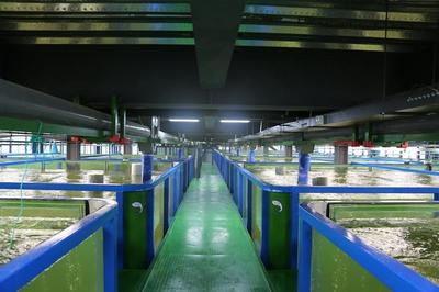 国家支持！数字农业和农村建设项目补贴大全，覆盖农业全产业链与水产品